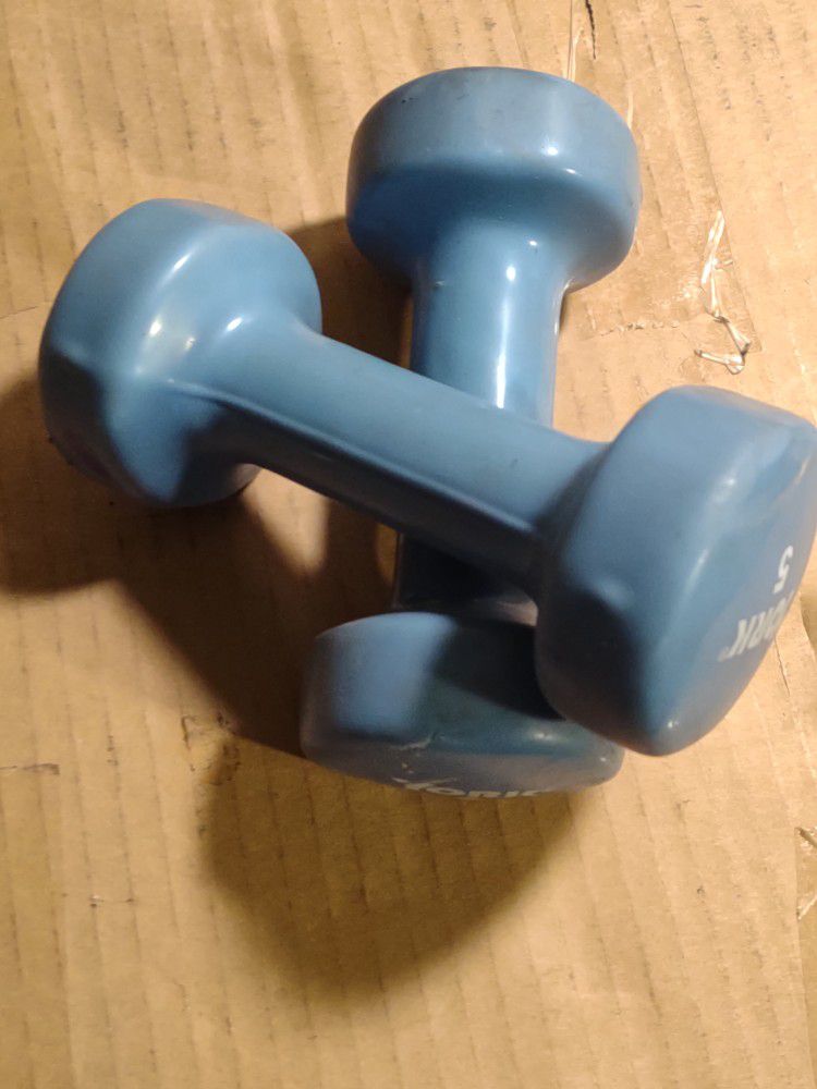 Set Of Two York Rubber Coated 5 Lb Dumbbell Weights