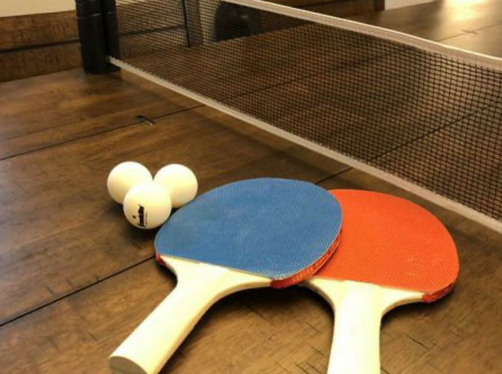 Brand New Portable Ping Pong Net set with 2 Franklin Paddles and 3 Ping Pong Balls. Available sets: Net + 2 Paddles + 3 Balls $35. Net ONLY $20
