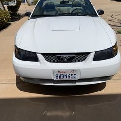 2004 Ford Mustang