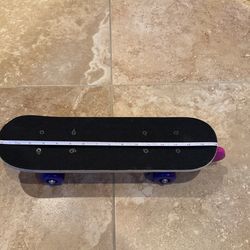 16.5” Mini Skateboard 