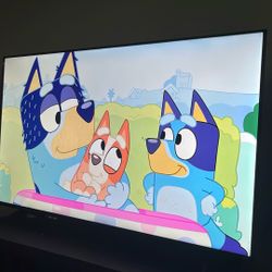 58 In Tv And Tv Stand 