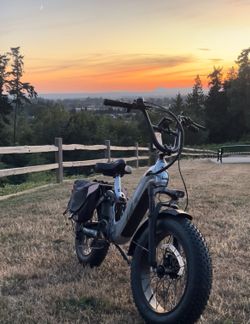 Puckipuppy 960-watt eBike in like-new condition