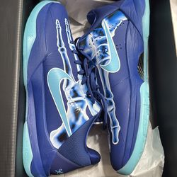 Nike Basketball Shoes