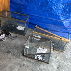 Three Terrariums