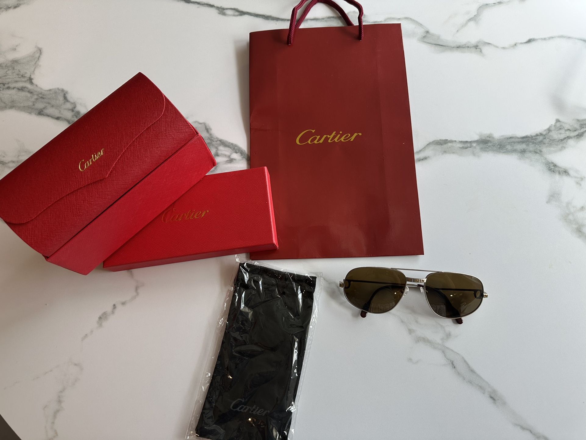 Vintage Cartier Polorized Sunglasses Xl