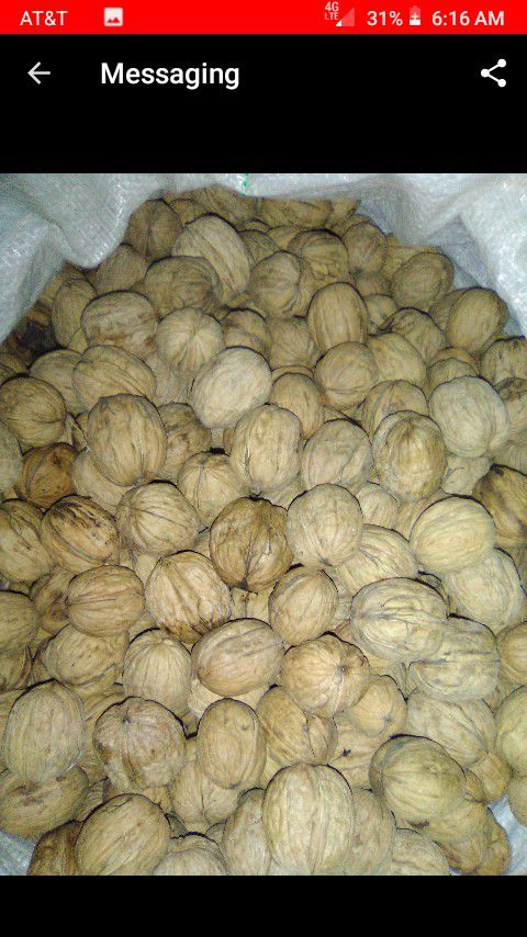 Walnuts for sale.