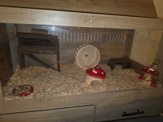 Free h a m s t e r and enclosure