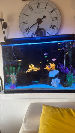 Fish tank 65 gallon