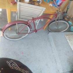 Beach Cruise 