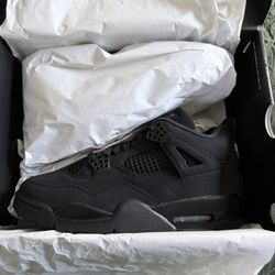 Nike Jordan Black Cat Sz 11