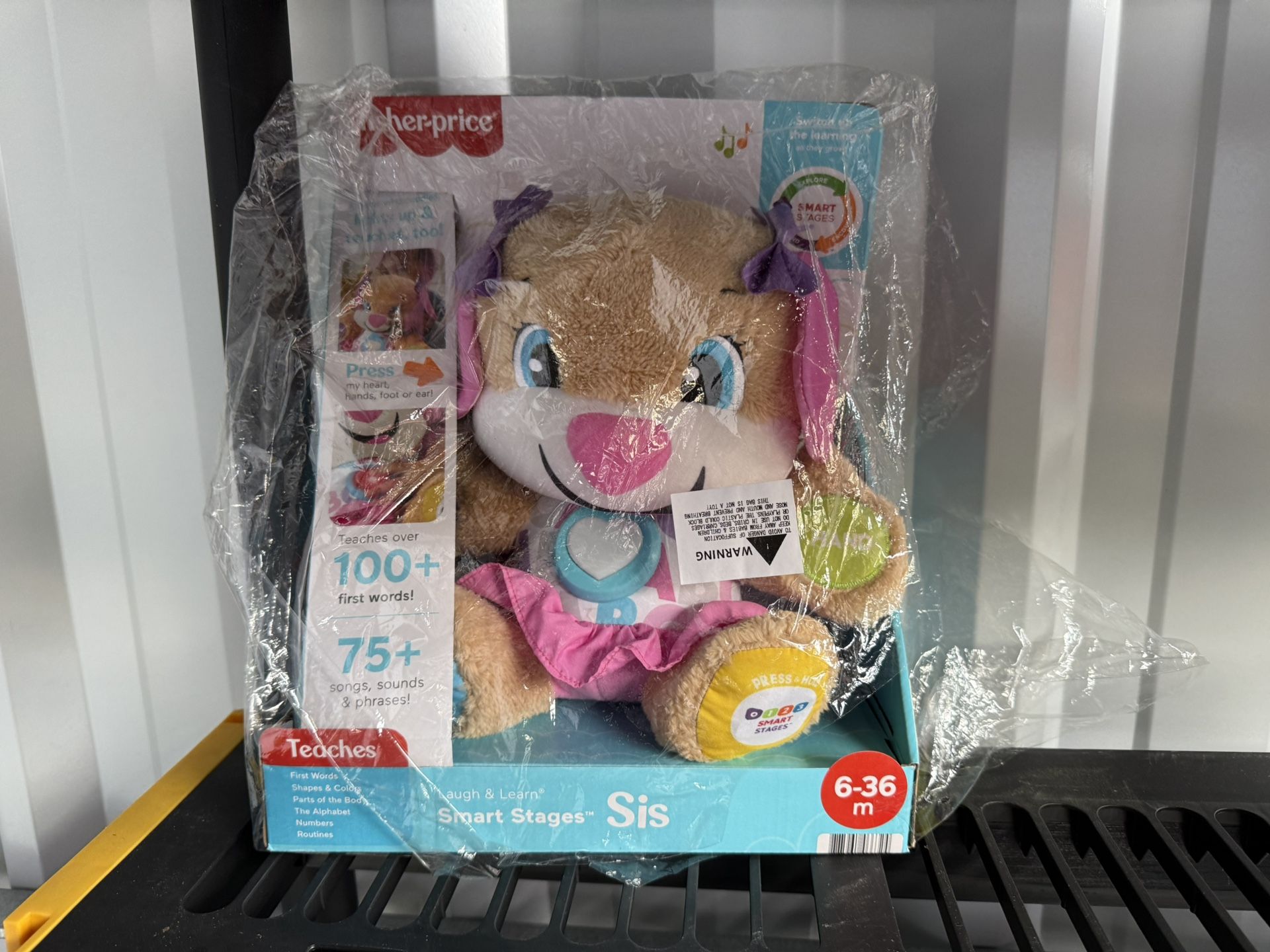 Smart Stages Toy