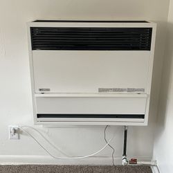 Williams Surface-Mount Gas Wall Heater