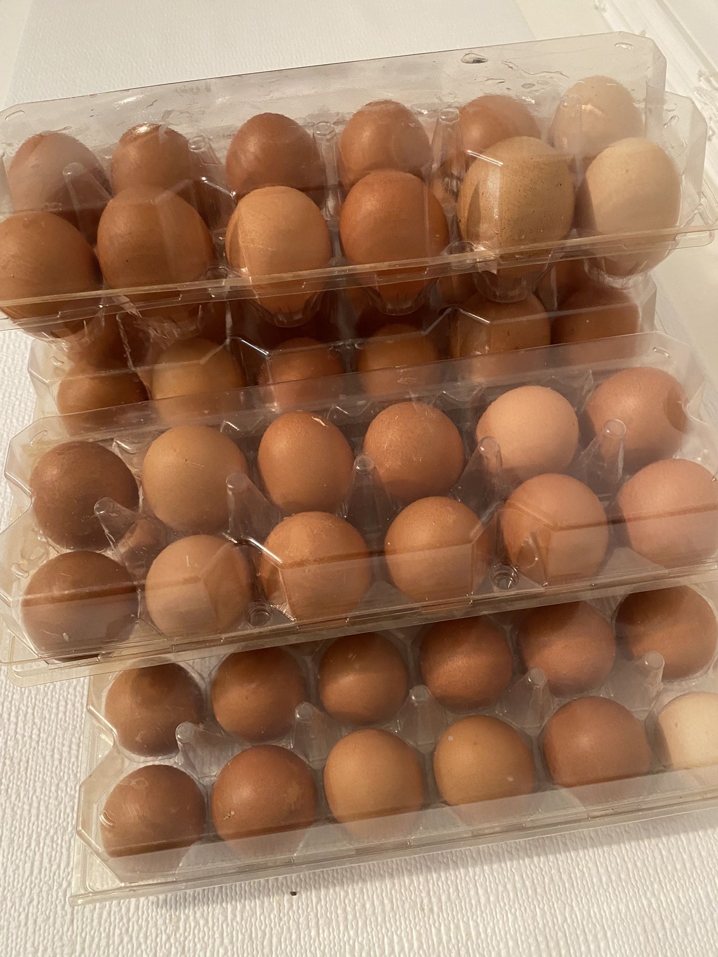 Fresh Organic Eggs