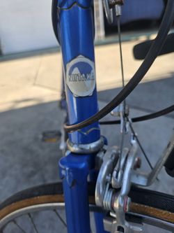 Niiyaka 12 Speed