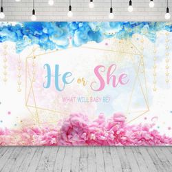 Gender Reveal Back Drop