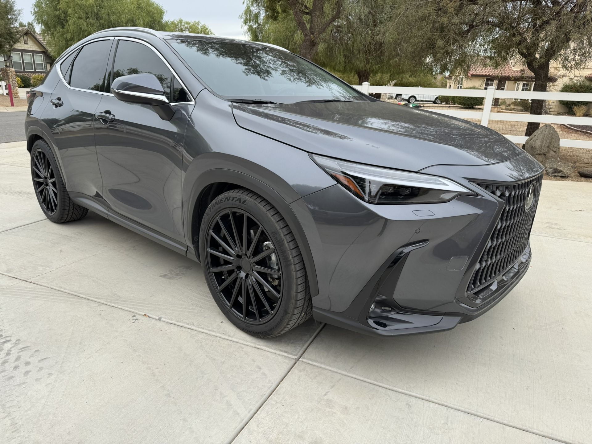 2023 Lexus NX 450h