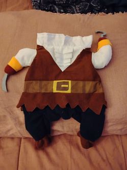 Pirate Halloween Costume for Dog