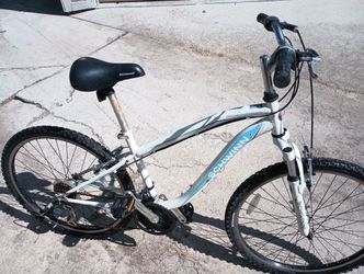 Schwinn 10 speed bike