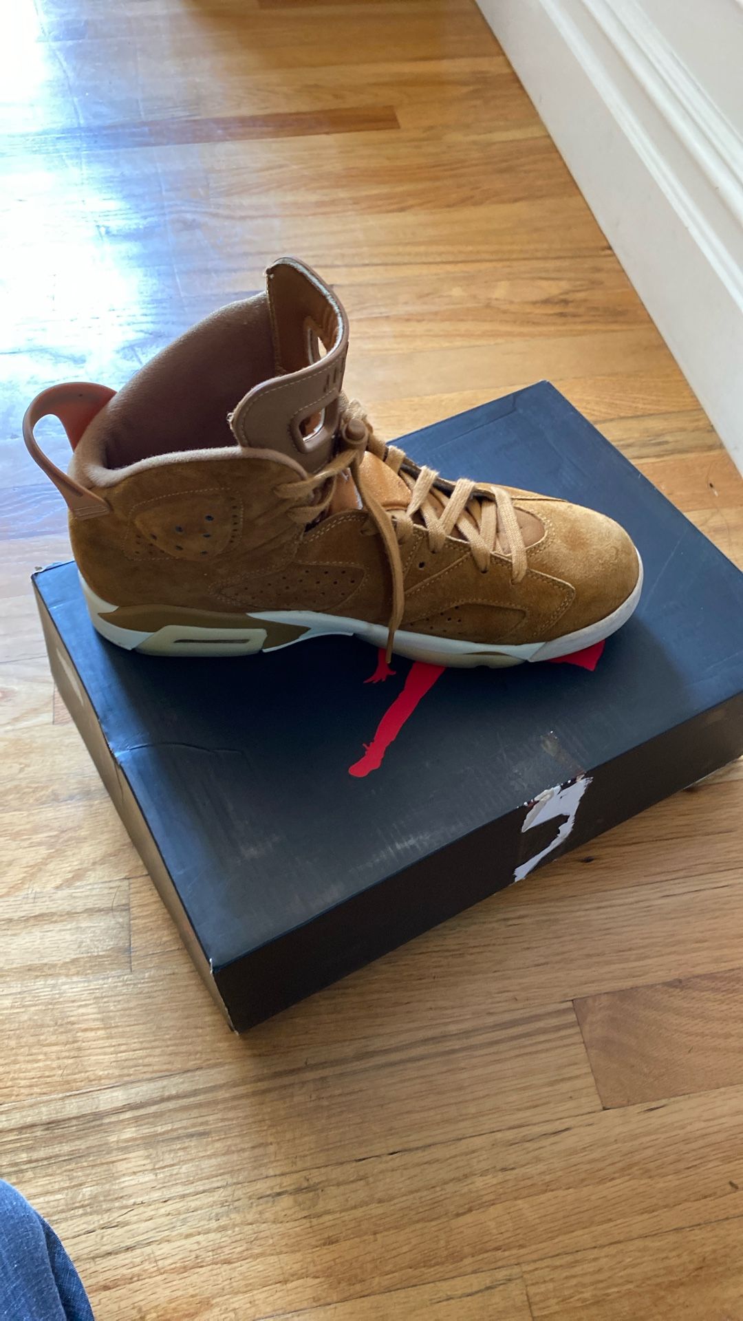 Nike Air Jordan 6 Retro