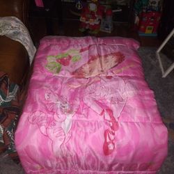 STRAWBERRY SHORTCAKE SLEEPING BAG