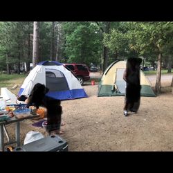 Tents