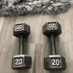 20 lbs dumbbells