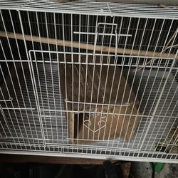 Tengo Jaula De Venta Con Unos Finch Más Información Mándame Un Mensaje 