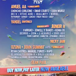 Baja Beach Fest 3 Day VIP Ticket 