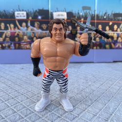 Wrestling Figure Sale : Hasbro Brutus Beefcake 