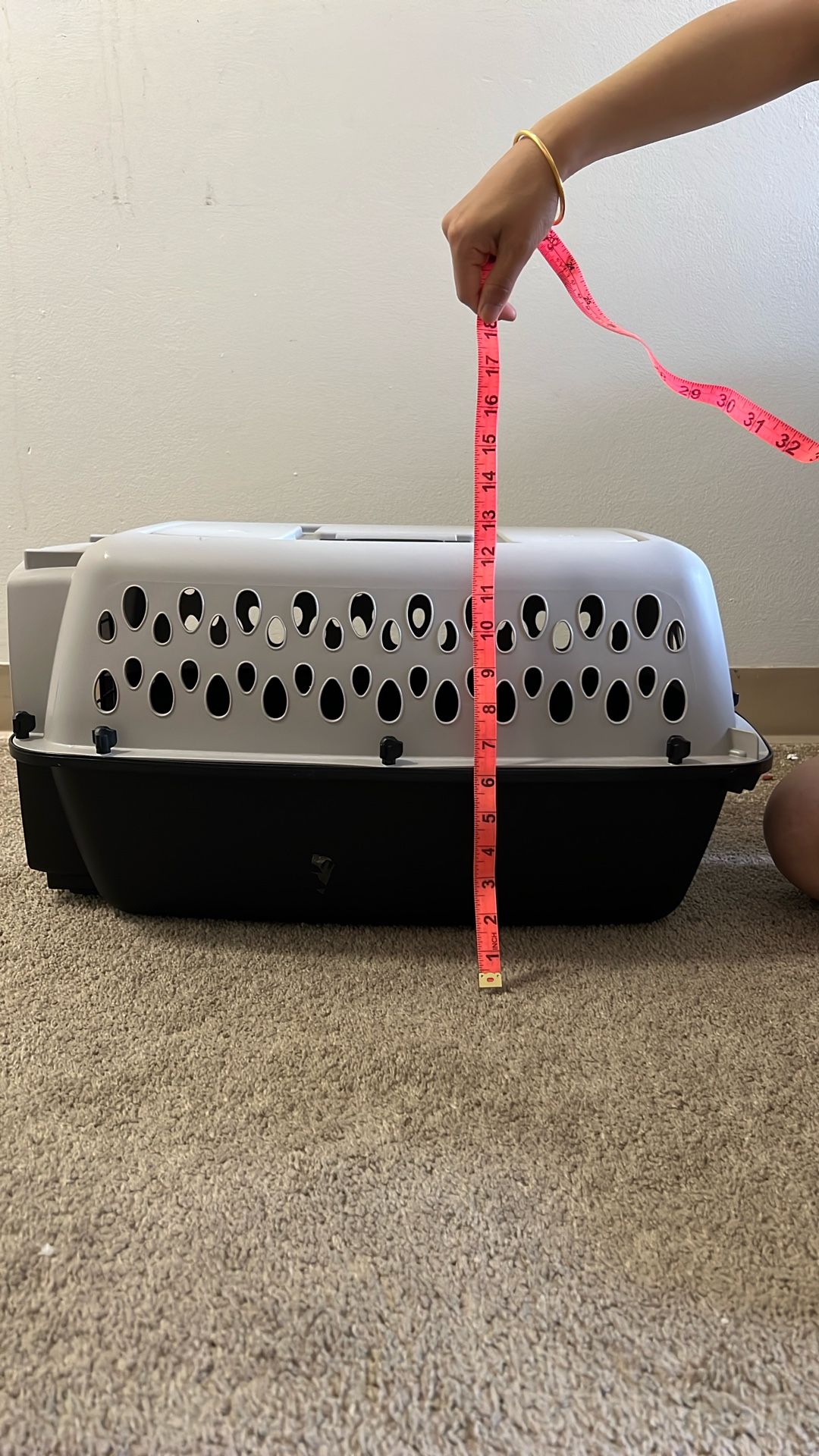 Pet Travel kennel