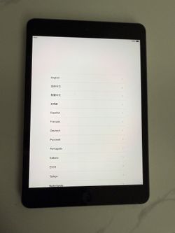 iPad Mini 2