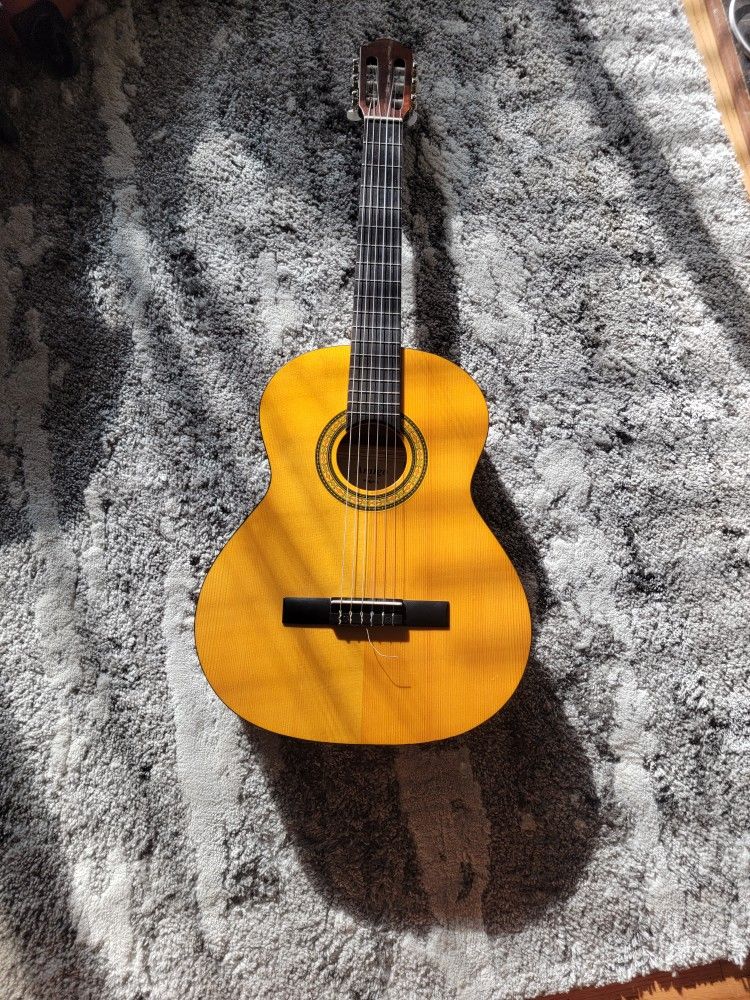 Classic Atustic Guitar
