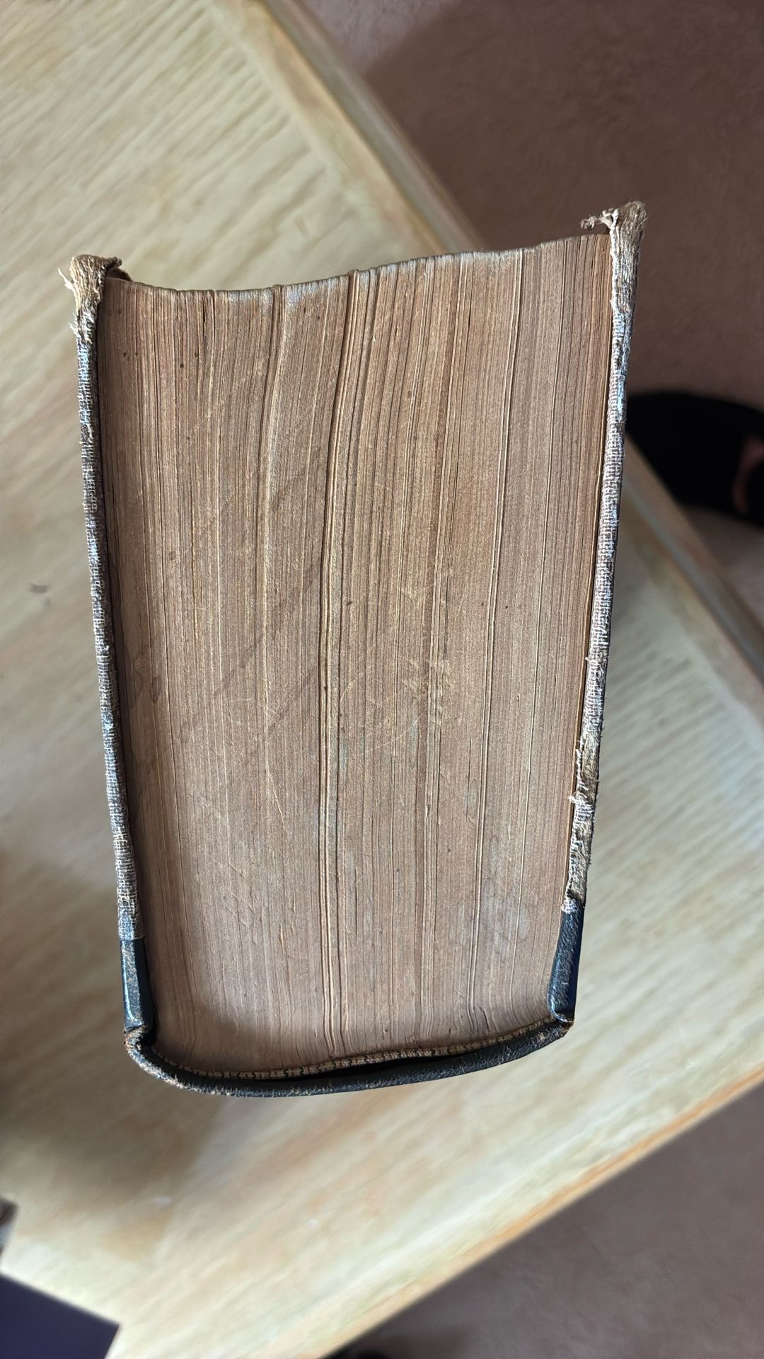 Petit Larousse Illustre Dictionnaire