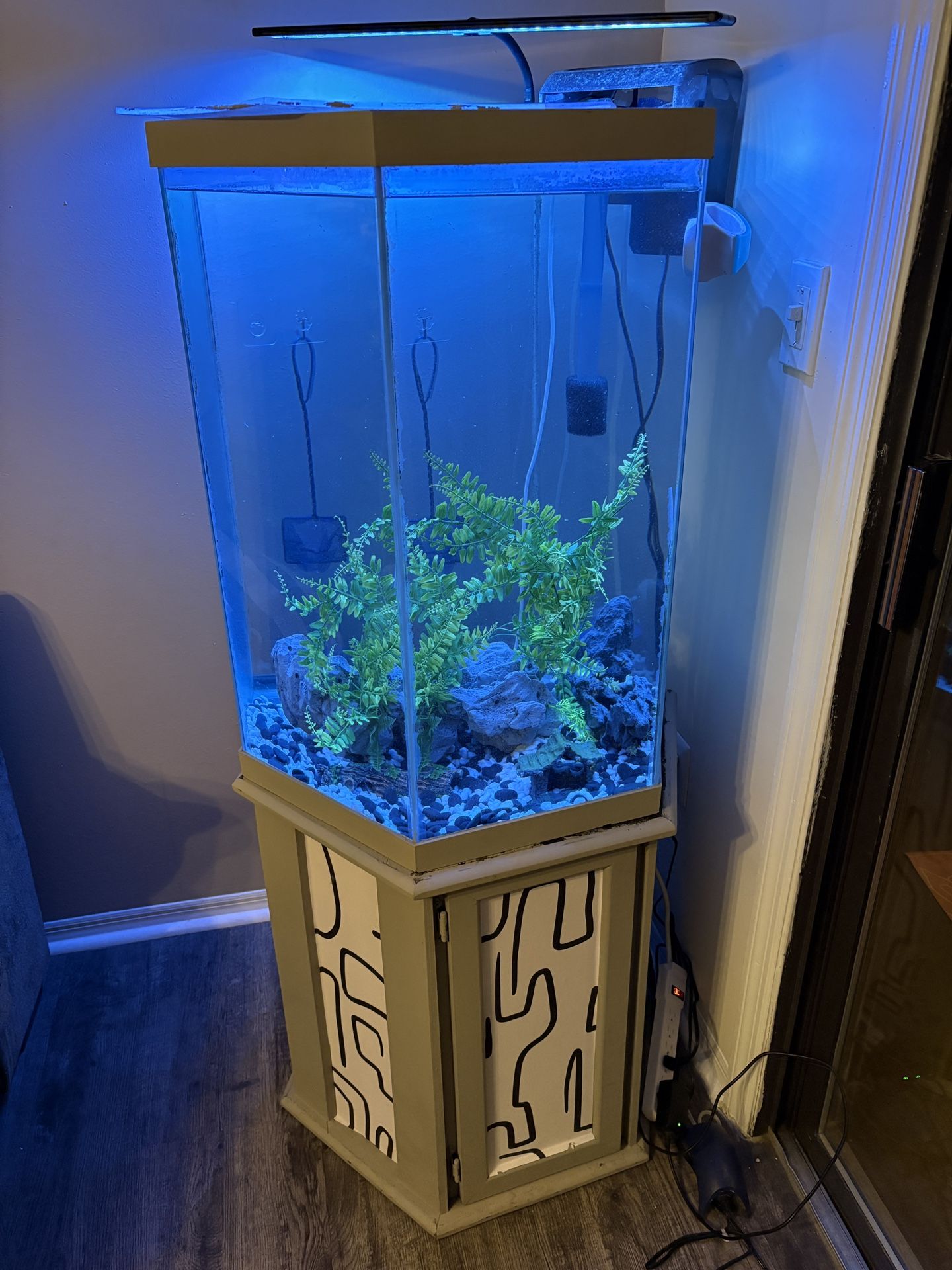 Fish Tank For Sale Everything Included