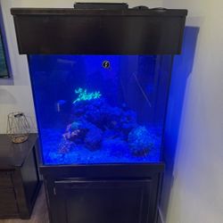 Custom Glass Fish Tank