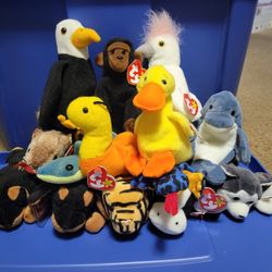 Beanie Babies