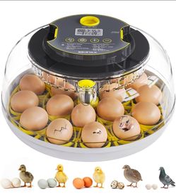 Egg Incubator