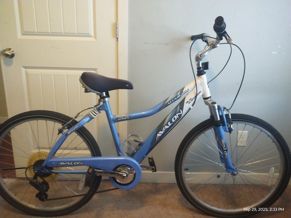 Adult Comfort Bike