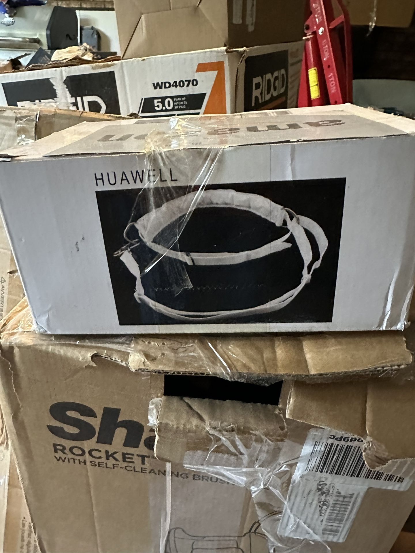 Safety Belt