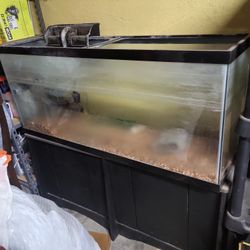 50 Gallon Fish Tank With Stand
