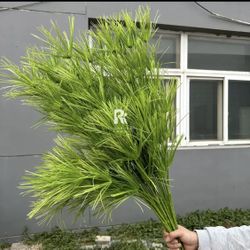 2 pieces pine branches