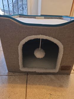 Cat essentials! Combo