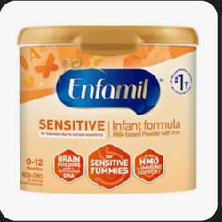 Enfamil 19.5 Oz 