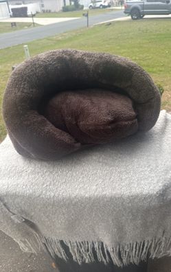 Brown Cat Bed 