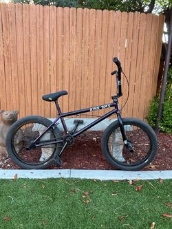 Kink Downside 2025