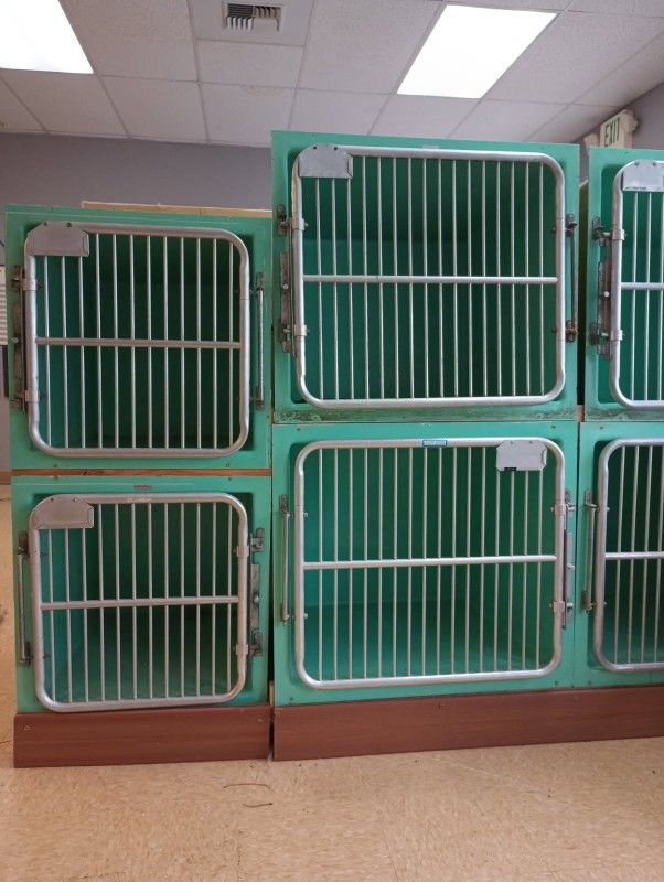 Professional Veterinary Cages