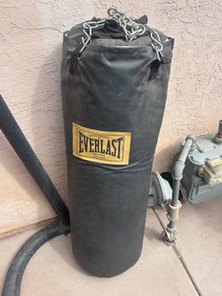 Everlast Heavy Punching Bag with Stand
