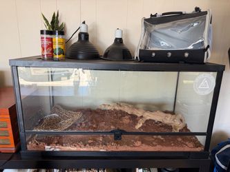 Reptile Terrarium Tank 45 Gallon