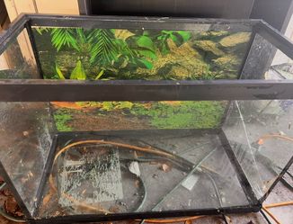 Aquarium/Terrarium Tank