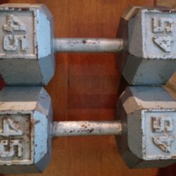 2-   45lbs Dumbbells $80